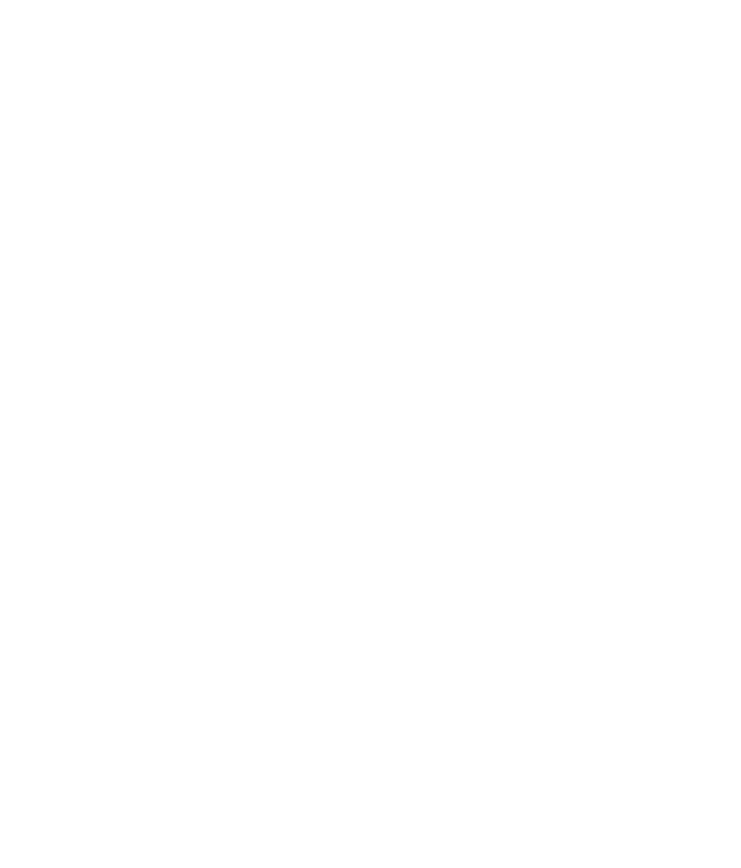 FFIB